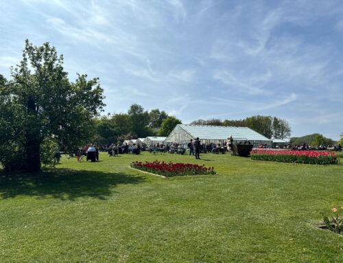 Goedkoop dagje uit in 2026: mijn ervaring bij Floralia Brussels